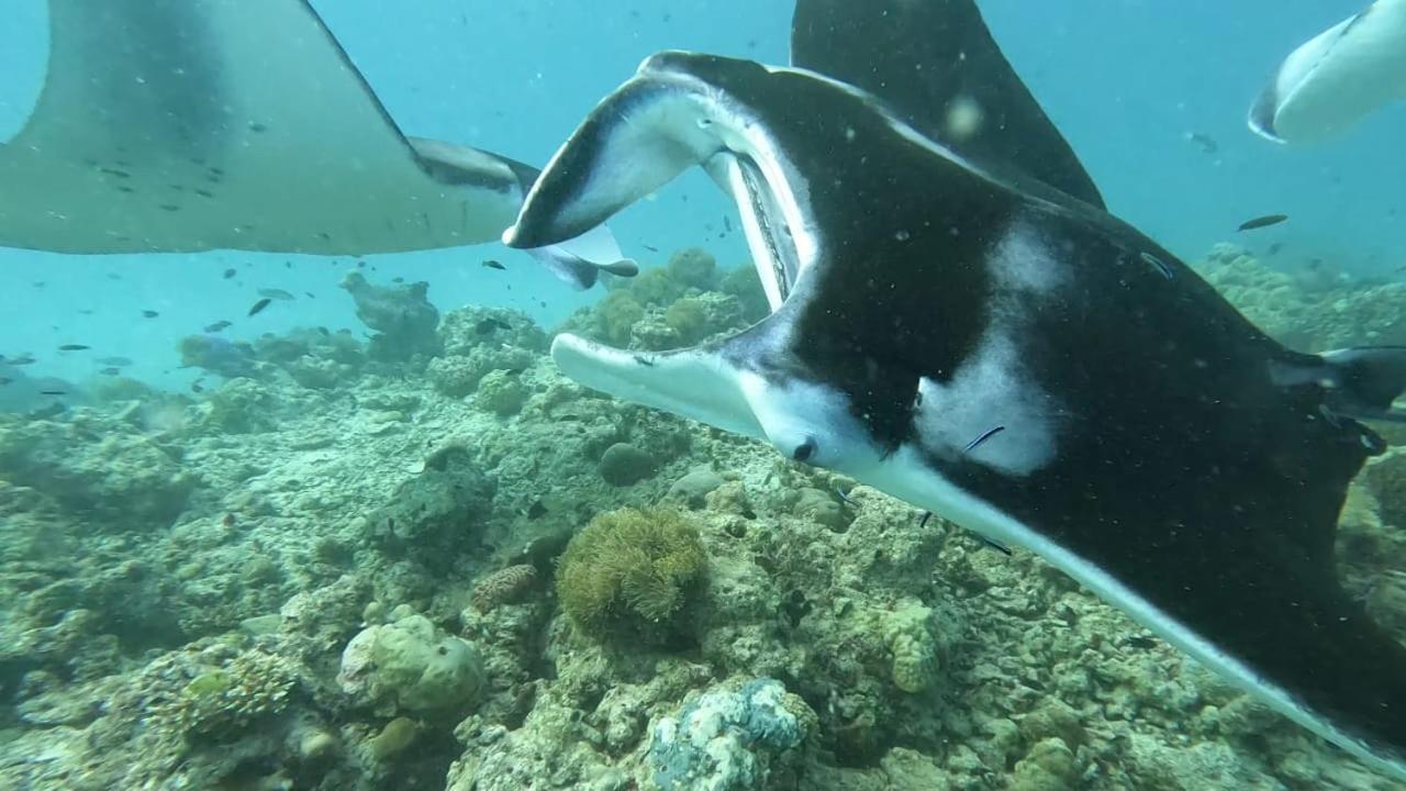 パグロ ビーチ ホテル Ukulhas エクステリア 写真