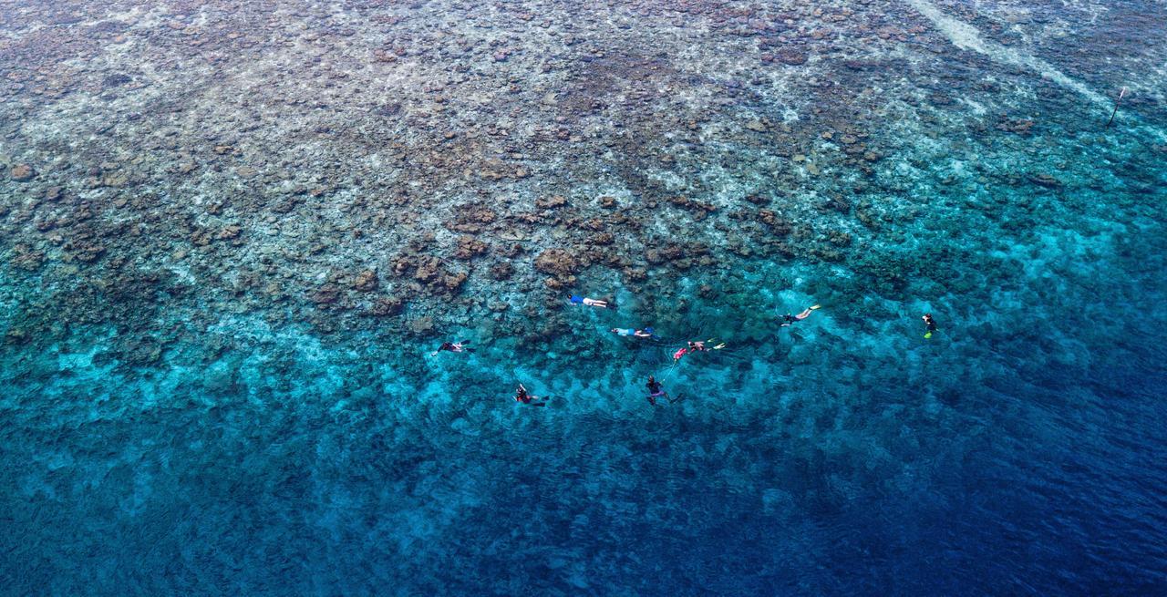 パグロ ビーチ ホテル Ukulhas エクステリア 写真